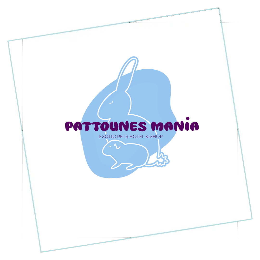 partenaire association pattounes mania